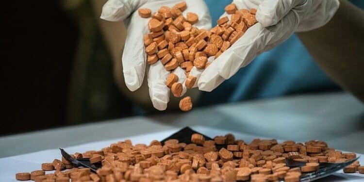 Trafic d’ecstasy : 30 ans de prison pour un ex-fonctionnaire