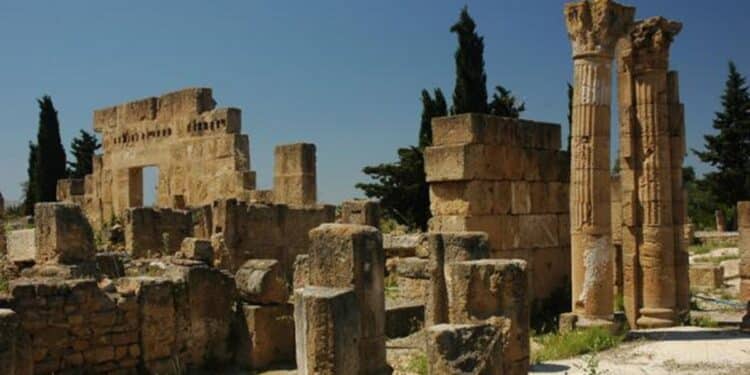 Balai citoyen : Rotary Azur, Interact Sunrise et Rotaract Sousse à Utique