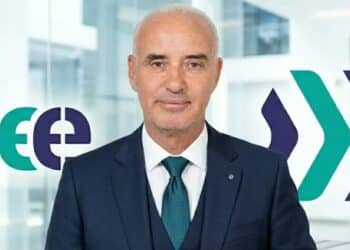 Télécoms : Habib Ben Lallahom prend les commandes de BEE Internet