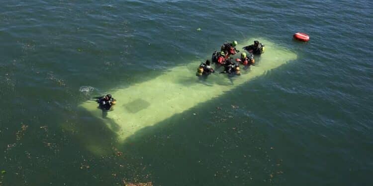 France : Un bus chute dans la Seine après une collision
