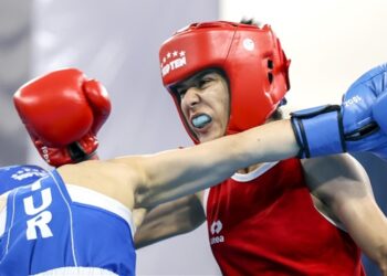 La Tunisie engagée avec sept boxeurs à la Coupe du monde au Brésil