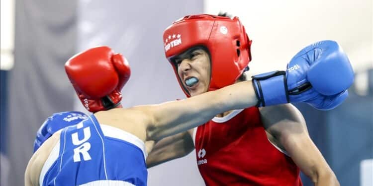 La Tunisie engagée avec sept boxeurs à la Coupe du monde au Brésil