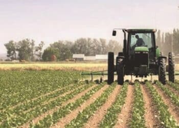 Tunisie : La pollution agricole s’installe en crise structurelle, l’alerte des experts