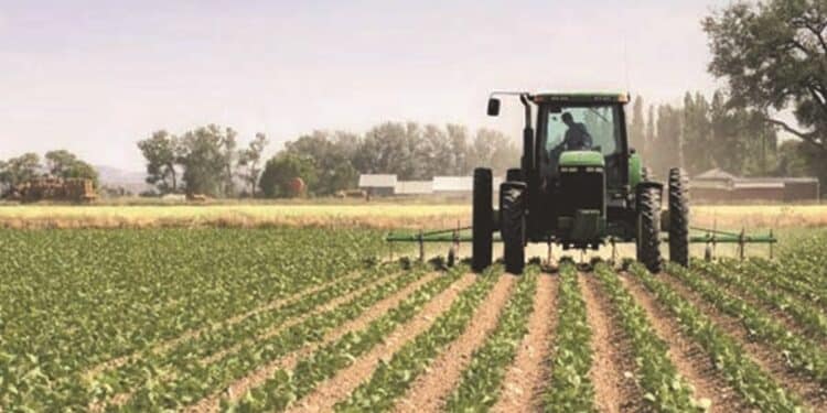 Agriculture : Le gouvernement fixe sa feuille de route 2030 pour la souveraineté alimentaire