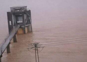 Barrages : Jendouba atteint le plein après des pluies exceptionnelles