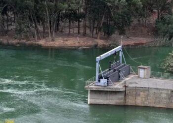 Drame à Testour : Un candidat au bac se noie après l’épreuve sportive