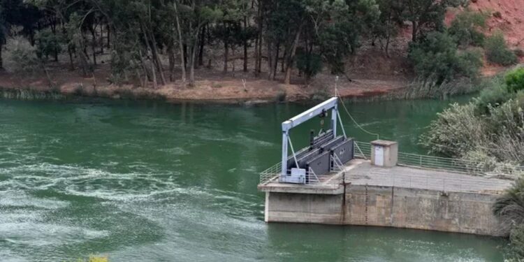 Drame à Testour : Un candidat au bac se noie après l’épreuve sportive