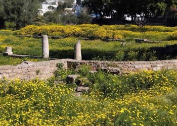 Snapshot : La basilique invisible de Carthage