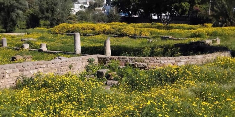 Snapshot : La basilique invisible de Carthage