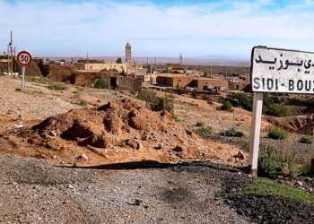 Sidi Bouzid : Une Ceinture verte à 30 MD pour freiner la désertification dès 2027