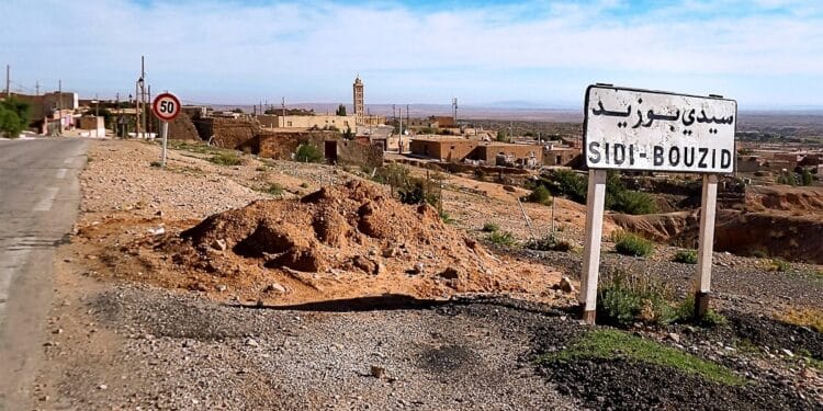 Sidi Bouzid : Une Ceinture verte à 30 MD pour freiner la désertification dès 2027