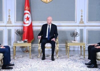 Saïed met en garde contre les “campagnes de désinformation”