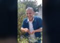 Everyday Tunisians : Les câpres du cimetière marin