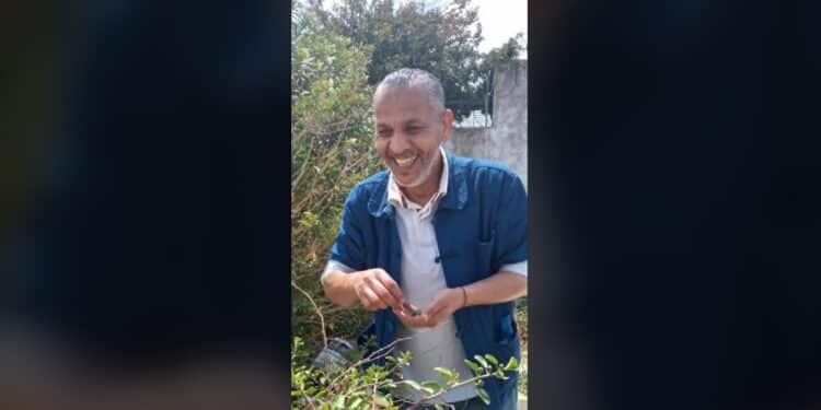 Everyday Tunisians : Les câpres du cimetière marin