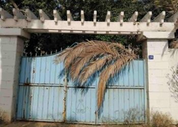 Nostalgies : Cette porte qui cache le paradis des Siciliens de Lafayette