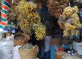 Snapshot - Tunis : La beauté frémissante de Souk El Blat