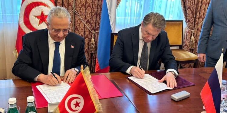 La Tunisie et la Russie misent sur la télémédecine et la recherche médicale