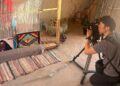 média japonais en tunisie