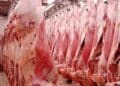 Aïd el-Idha : La Société Ellouhoum lance la vente de viande d’agneau à prix préférentiel