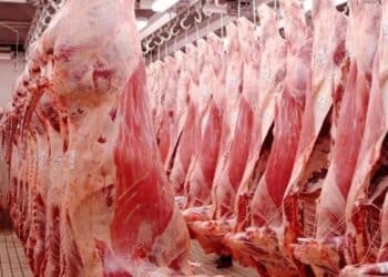 Aïd el-Idha : La Société Ellouhoum lance la vente de viande d’agneau à prix préférentiel