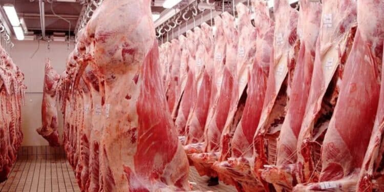 Aïd el-Idha : La Société Ellouhoum lance la vente de viande d’agneau à prix préférentiel