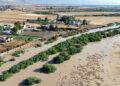 Mellègue : pas de danger pour les riverains, mais l’inquiétude des pêcheurs grandit
