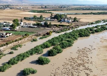 Mellègue : pas de danger pour les riverains, mais l’inquiétude des pêcheurs grandit