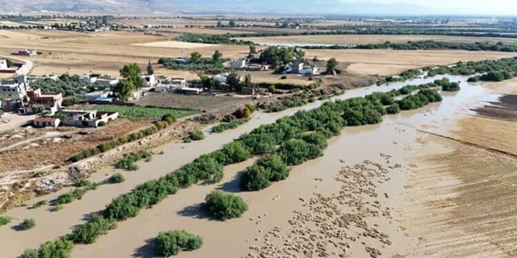 Mellègue : pas de danger pour les riverains, mais l’inquiétude des pêcheurs grandit