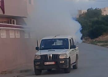 Moustiques dans le Grand Tunis : Pourquoi les nuisances explosent déjà ?