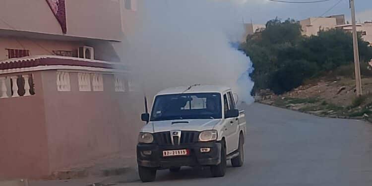 Moustiques dans le Grand Tunis : Pourquoi les nuisances explosent déjà ?