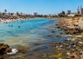 Baignade : 49 plages déconseillées cet été contre 28 l'an dernier