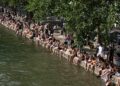 France canicule