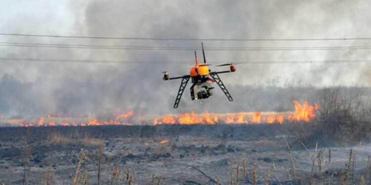 Drone Foret