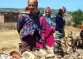 Les potières de Sejnane et leurs œuvres en terre cuite