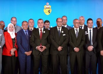 Télécoms : Tunis et Alger veulent renforcer leurs connexions terrestres et sous-marines