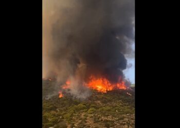D'importants feux mobilisent les secours à Ghar El Melh, Sidi Ali El Mekki et Raf Raf