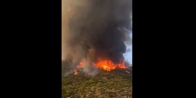 D'importants feux mobilisent les secours à Ghar El Melh, Sidi Ali El Mekki et Raf Raf