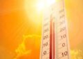 La Tunisie entre dans une nouvelle vague de chaleur : Jusqu'à 45°C attendus ce week-end