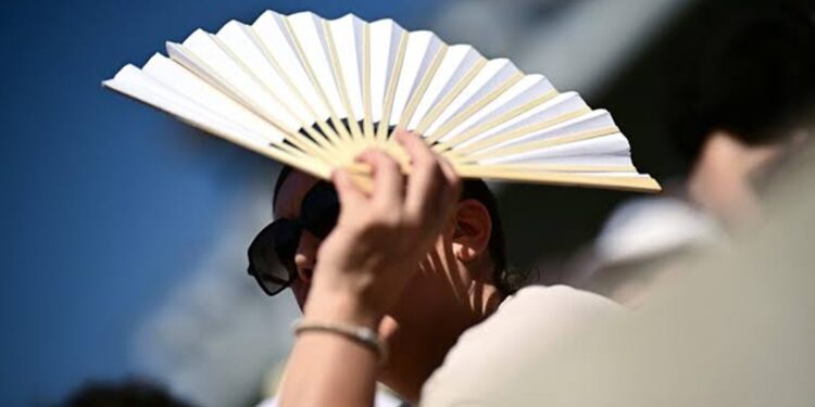 Canicule en Europe : Plus de 12.000 décès excédentaires enregistrés lors de la vague de chaleur