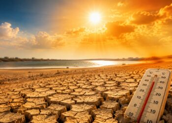 Canicules : pourquoi les climatologues ne sont pas surpris par les records de chaleur