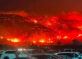 Incendies à Jebel Nadhour : Une nuit de feu à Ghar El Melh, Sidi Ali El Mekki et Rafraf