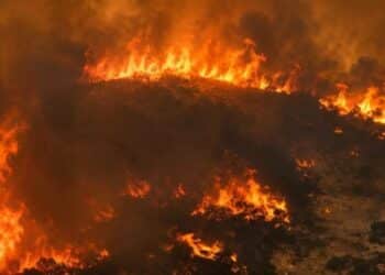 Canicule : Près de 600 incendies en 48 heures, la Protection civile sous forte pression