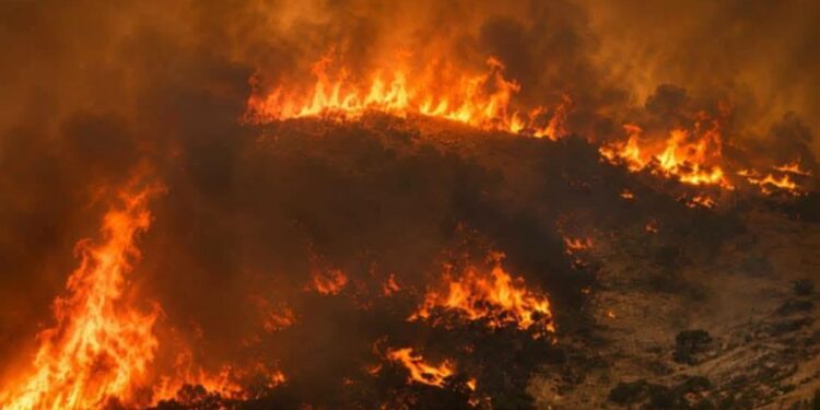 Canicule : Près de 600 incendies en 48 heures, la Protection civile sous forte pression
