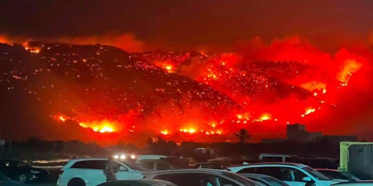 Incendies à Jebel Nadhour : Une nuit de feu à Ghar El Melh, Sidi Ali El Mekki et Rafraf