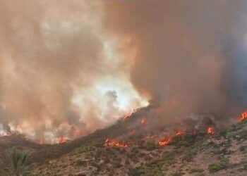 L'incendie entre Rafraf et Sidi Ali El Mekki maîtrisé après plus de 16 heures de lutte