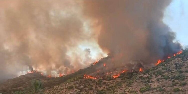 L'incendie entre Rafraf et Sidi Ali El Mekki maîtrisé après plus de 16 heures de lutte