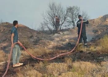 Zaghouan : L'incendie du mont Echahma maîtrisé après plus de 40 heures de lutte