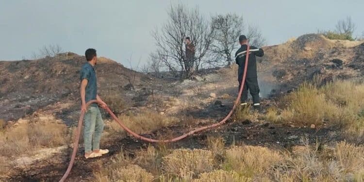 Zaghouan : L'incendie du mont Echahma maîtrisé après plus de 40 heures de lutte