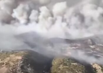 Incendie à Zaghouan : les flammes toujours actives, deux hélicoptères militaires mobilisés