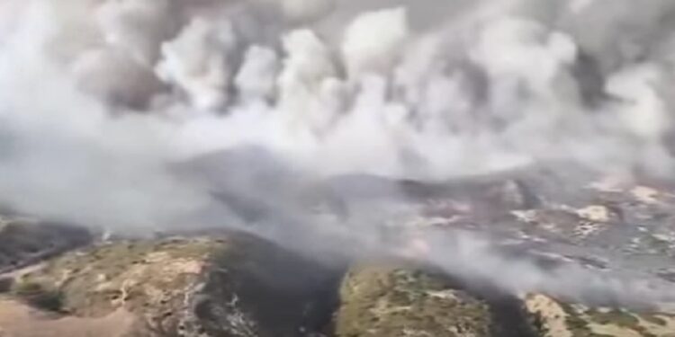 Incendie à Zaghouan : les flammes toujours actives, deux hélicoptères militaires mobilisés